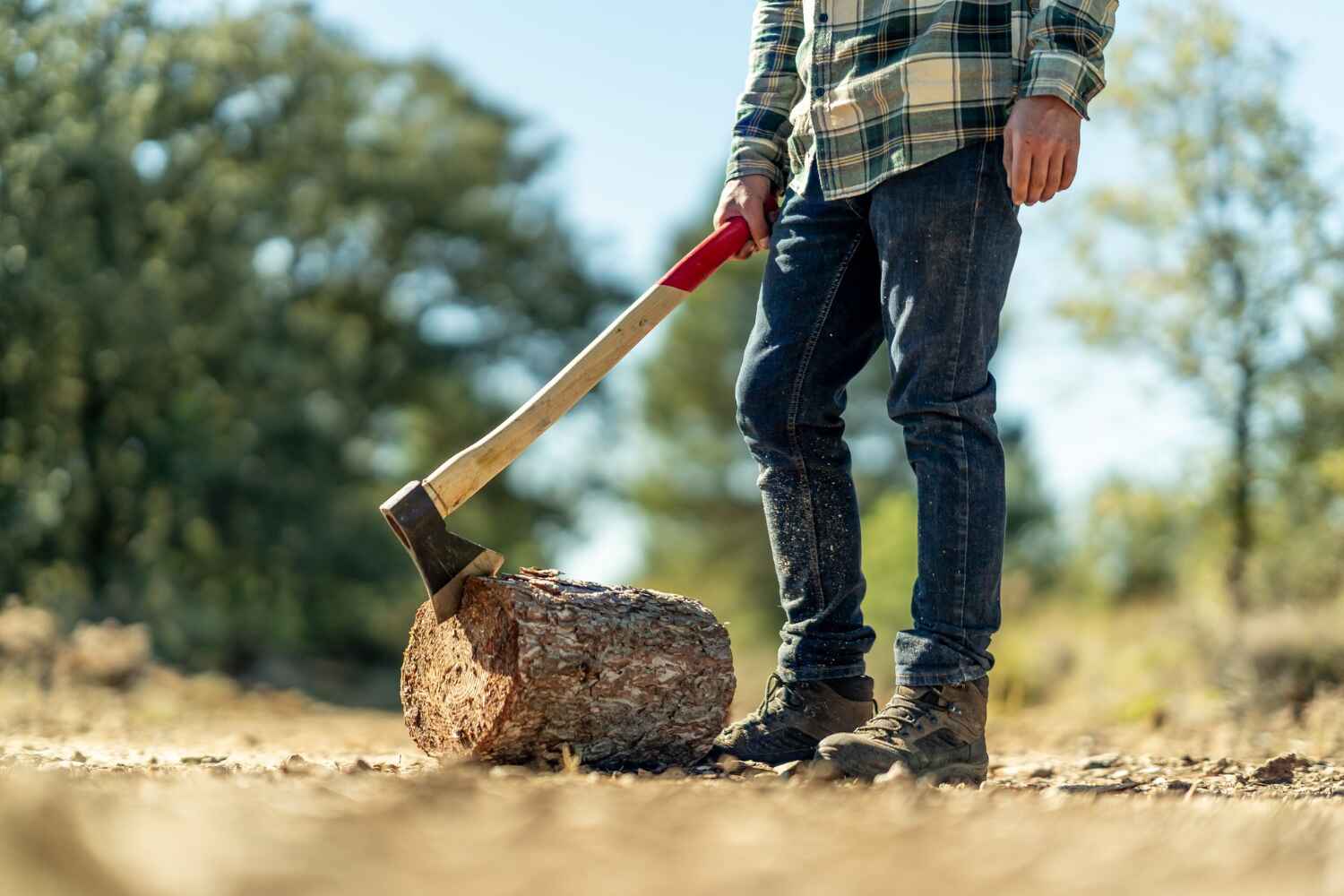 Trusted Taylor Creek, FL Tree Service Experts